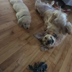 Meet your Posher, Rebecca